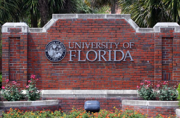 A More Intensive Gander at the Multi-layered Understudy Body of the College of Florida