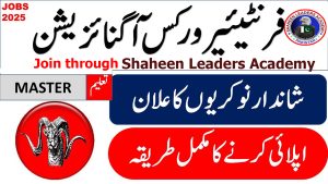 Frontier Works Organization Jobs