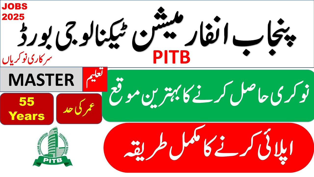 Punjab Information Technology Board Jobs 2025