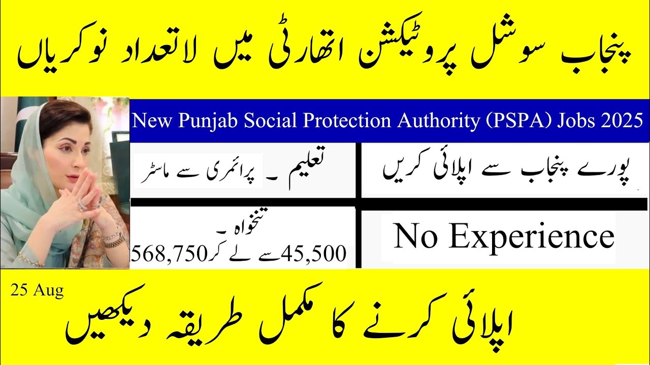 Punjab Social Protection Authority Job Opportunities 2025