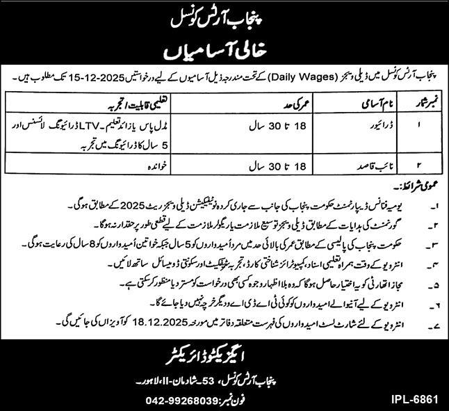 Punjab Arts Council Jobs 2025