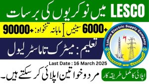 Lahore Electric Supply Company (LESCO) Jobs 2026